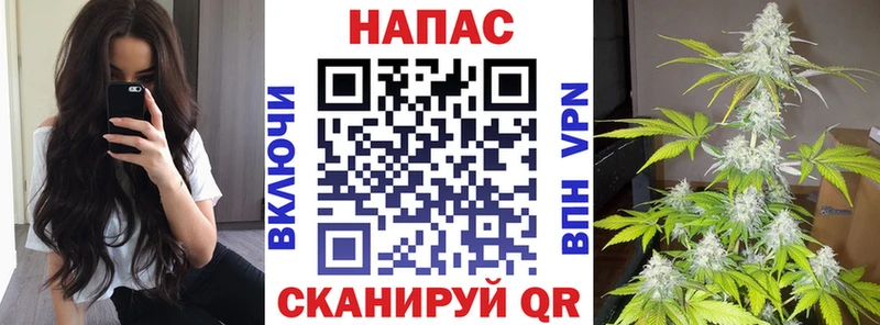Купить наркотики Моздок Псилоцибиновые грибы  A PVP  МЕФ  МАРИХУАНА 