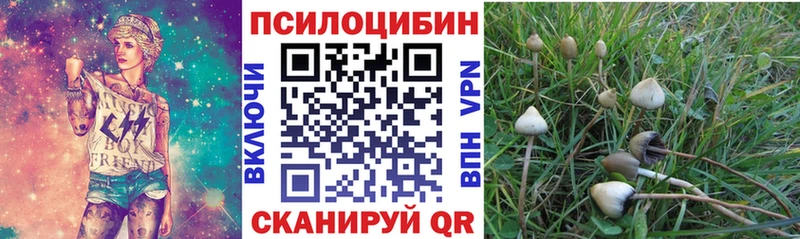 Галлюциногенные грибы мухоморы  дарк нет Telegram  Моздок 