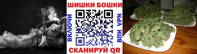 Канабис семена  как найти закладки  Моздок 